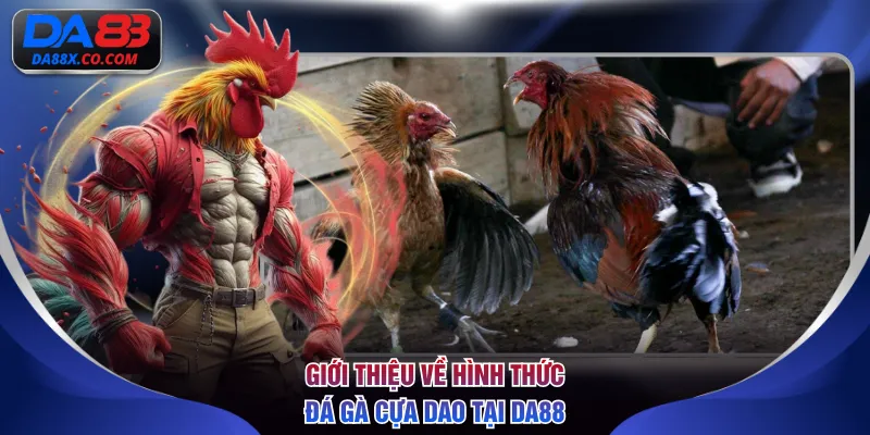 Giới thiệu về hình thức thi đấu đá gà cựa dao tại DA88